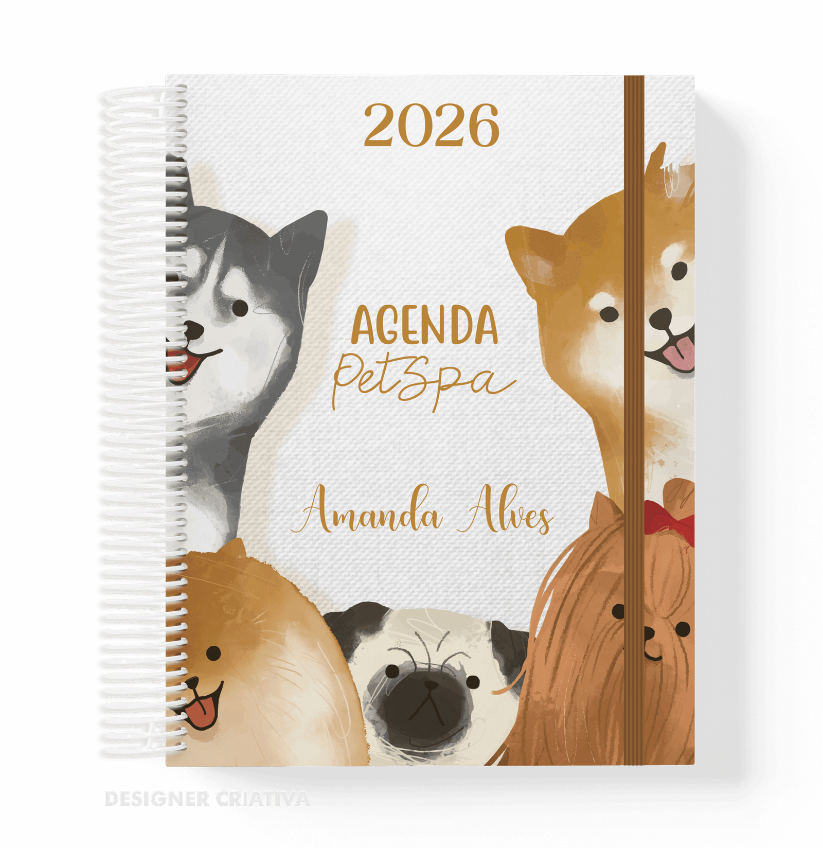AGENDA DE AGENDAMENTOS PETSPA 2026